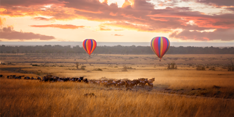 Voyage Flying Kenya Masai mara