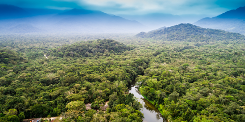 voyage organise equateur amazonie