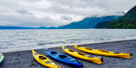voyage organise nouvelle zelande kayak