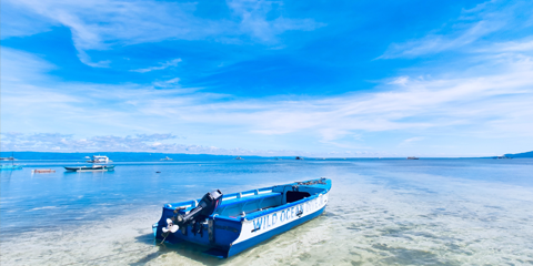 circuit philippines panglao plage