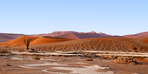 Guide local francophone Namibie desert du Namib