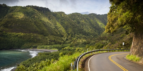 hawai jungles volcan route hana