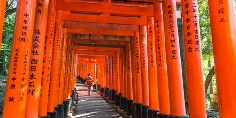 incontournables japon kyoto sanctuaire fushimi inari