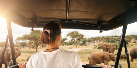 safari luxe tanzanie ngorongo