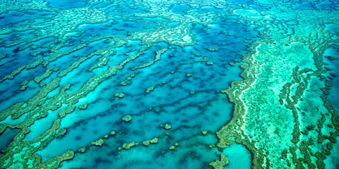 voyage de noce australie recif coralien