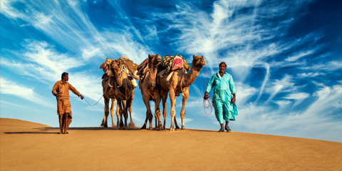 voyage moto inde desert thar chameaux