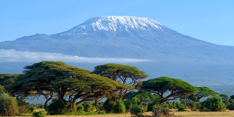 voyage organisé tanzanie mont kilimandjaro