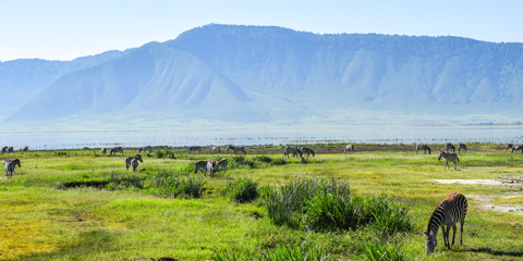 voyage organise tanzanie cratere du ngorongoro