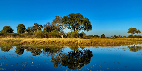 botswana lodge okavango delta