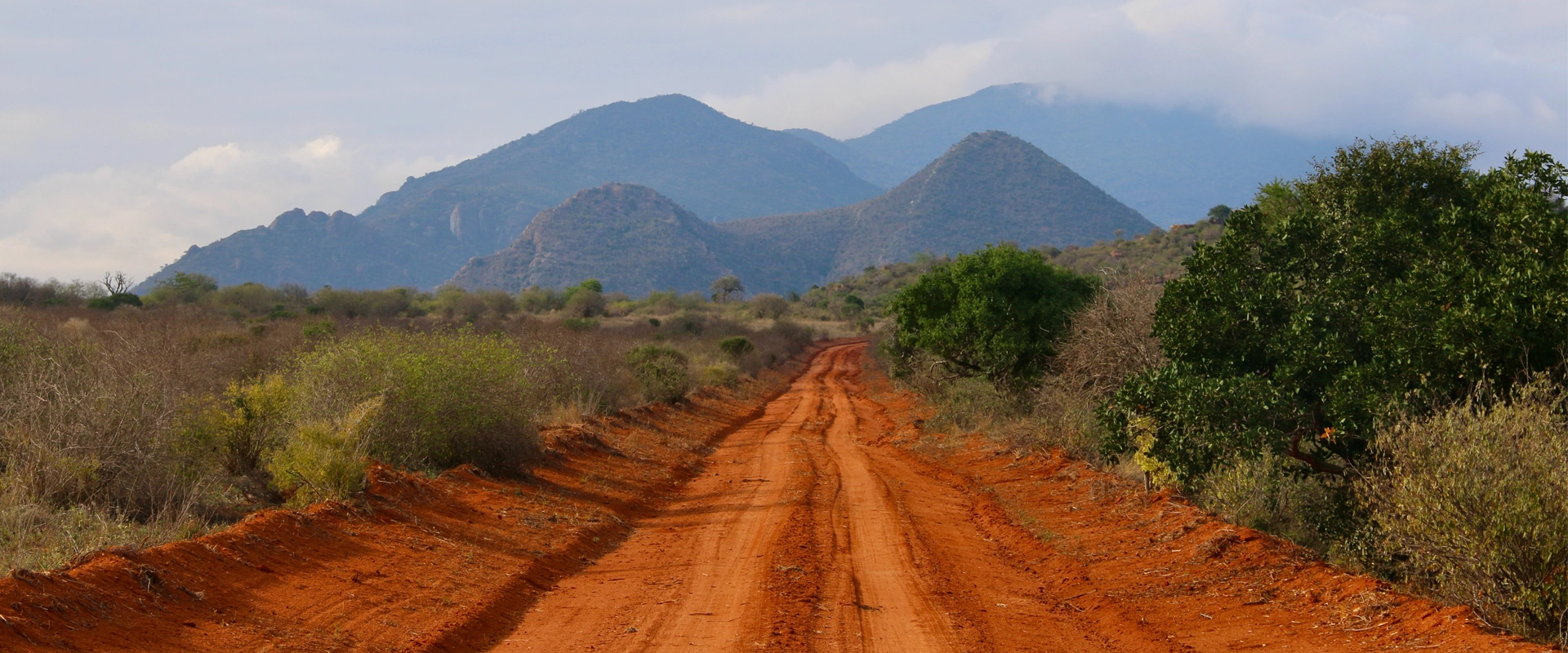 sejour kenya parc tsavo