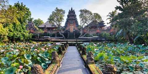 Circuit 12 jours Bali temple du lotus Ubud