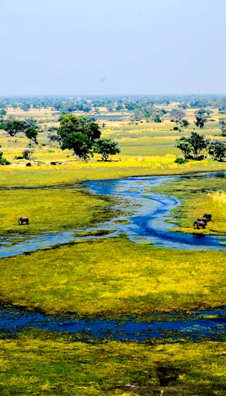 Que voir au Botswana lac Okavango
