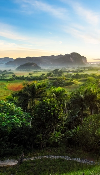 Que Voir Que Faire à Cuba en Hiver Vallée viñales