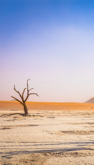 Voyage désert Namib