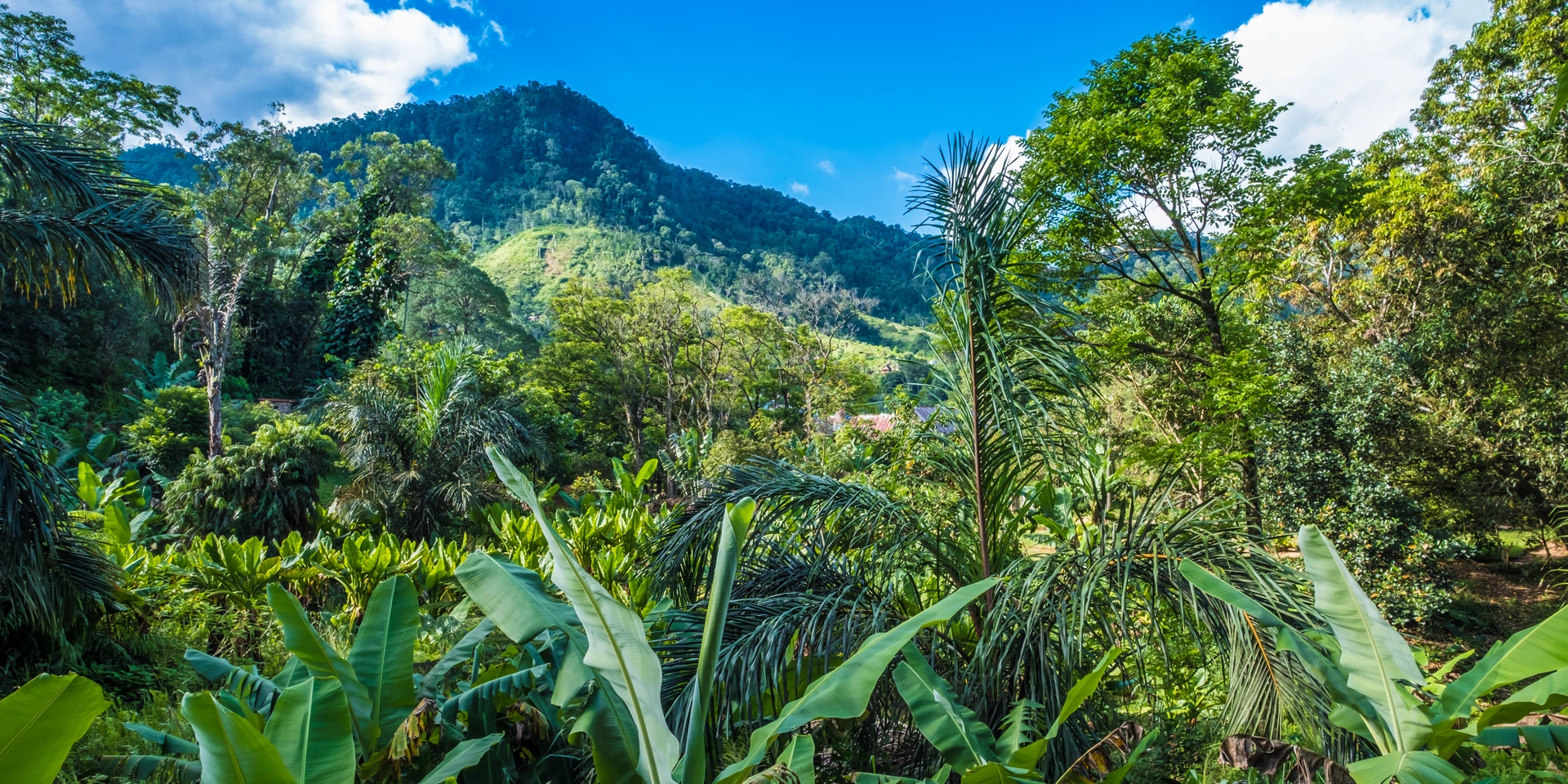 Voyage Madagascar