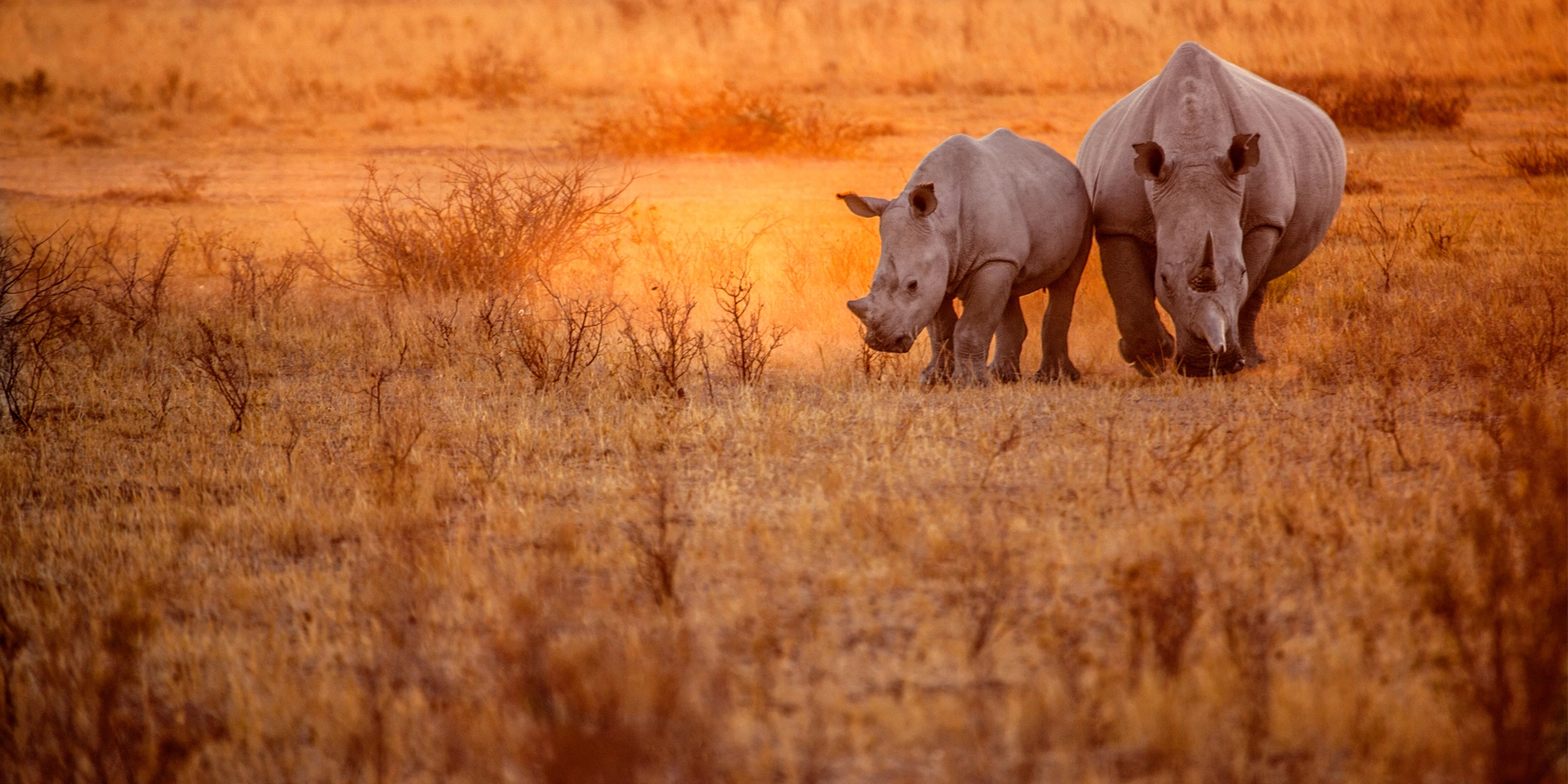 Voyage Namibie