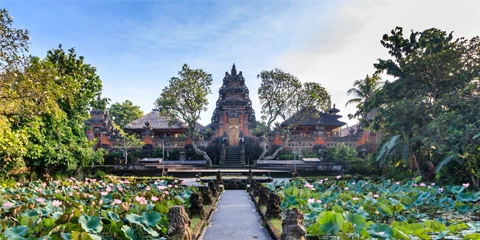 Voyage organise Bali ubud