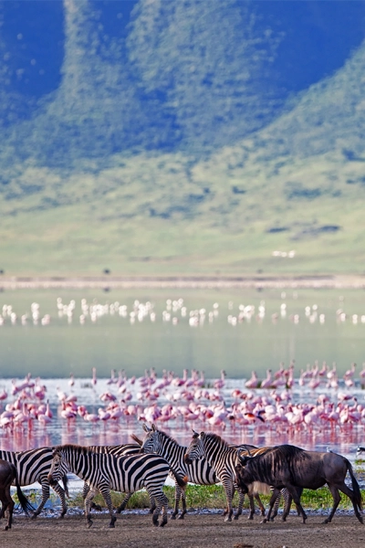 Tanzanie Voyage en famille Ngorongoro