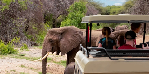 Voyage Tanzanie en famille tarangire