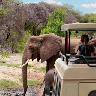 voyage tanzanie en famille