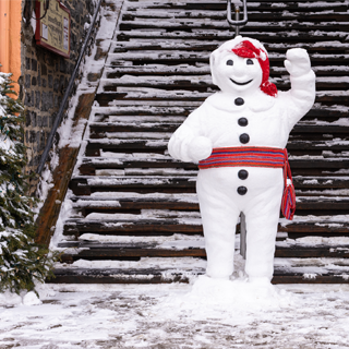 carnaval quebec