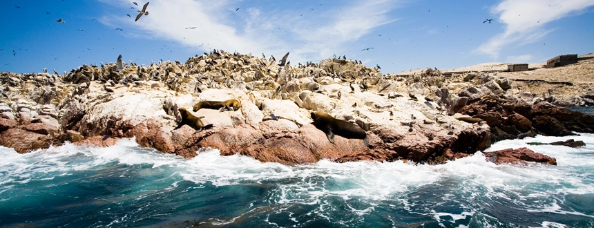 Les plus belles iles du monde ballestas