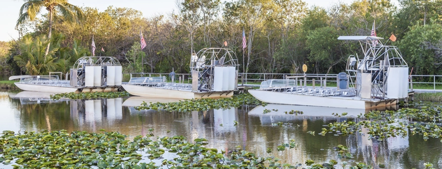 Que faire en Floride Everglades