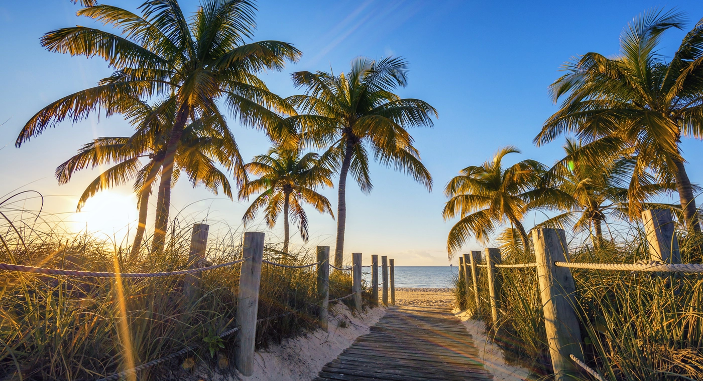 Que faire en Floride bannière