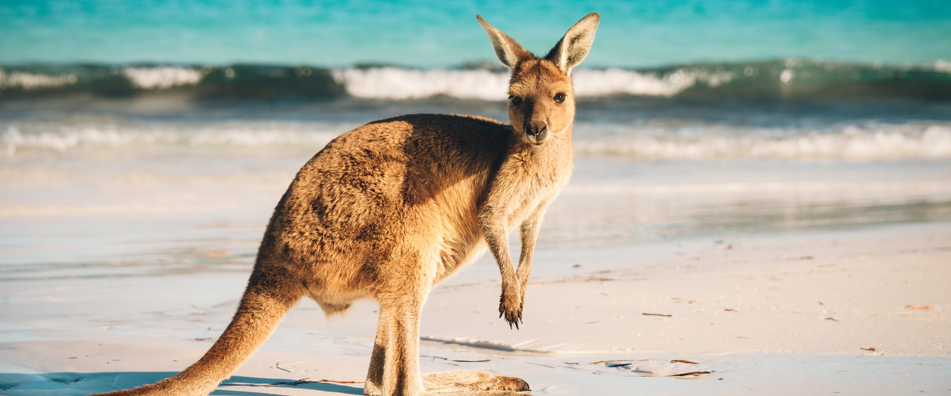 Voyage Australie plage cape range