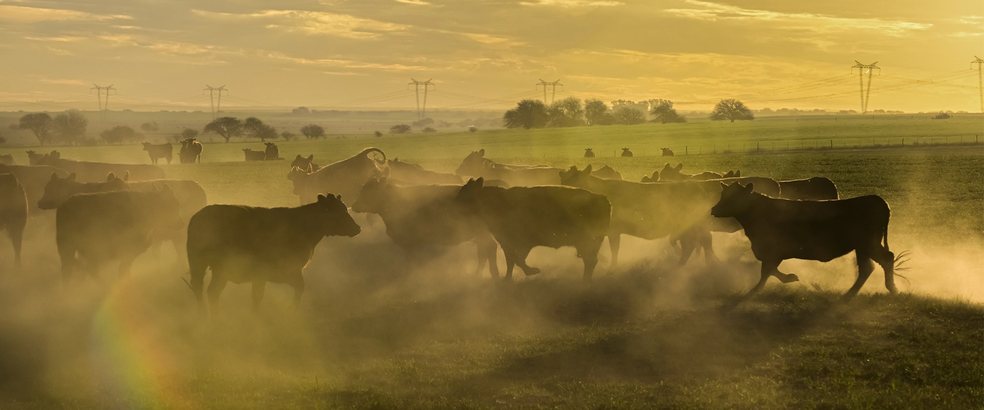 Voyage organisé Argentine La pampa