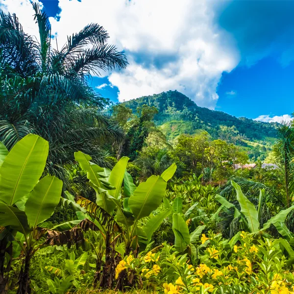 quand partir au madagascar