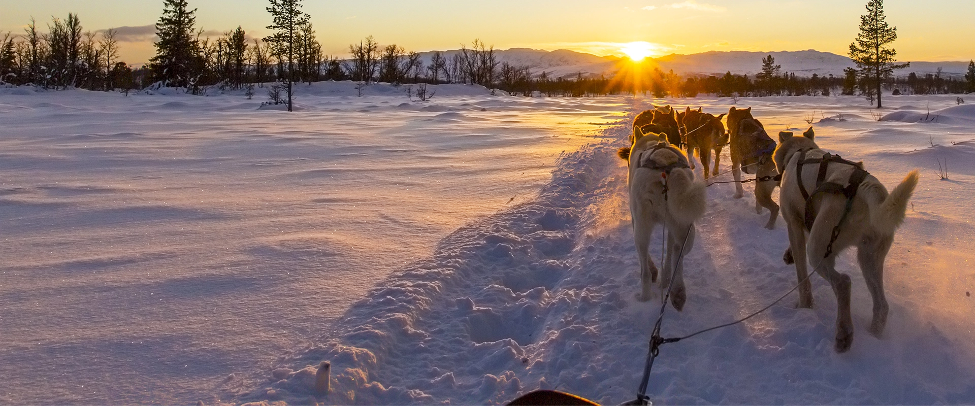 Voyage Canada hiver